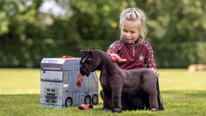 Lemieux Toy Pony Grooming Kit
