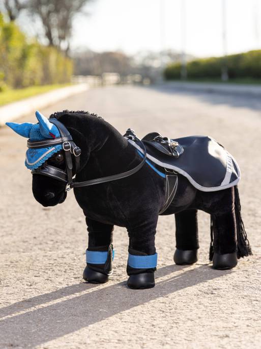 Lemieux Toy Pony Exercise Sheet