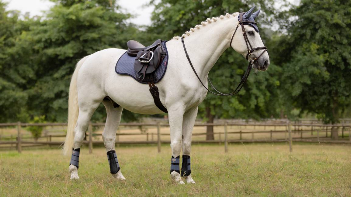 LeMieux Suede GP Square Saddle Pad