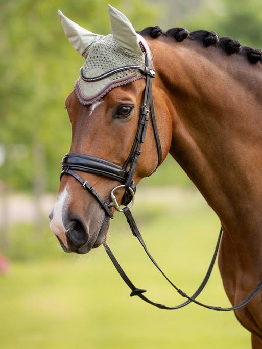 Lemieux Classic Fly Hood