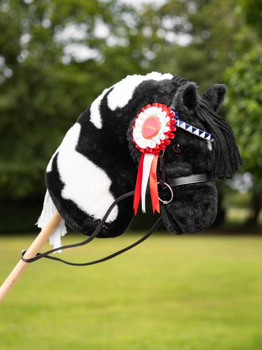 LeMieux Hobby Horse Rosette Pack Multi