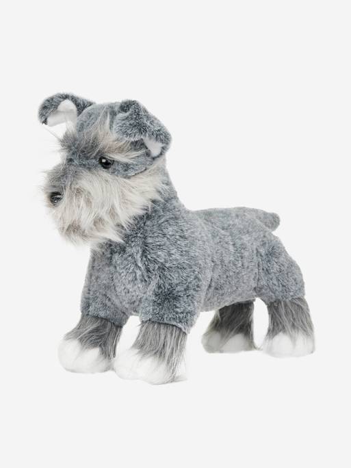 Toy Puppy-Cooper