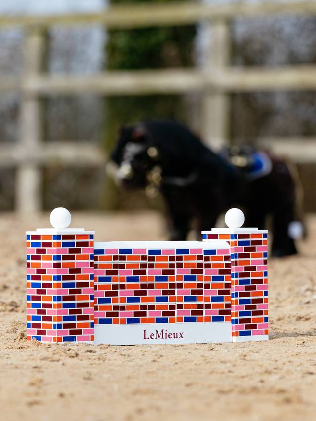 LeMieux Toy Pony Puissance Wall