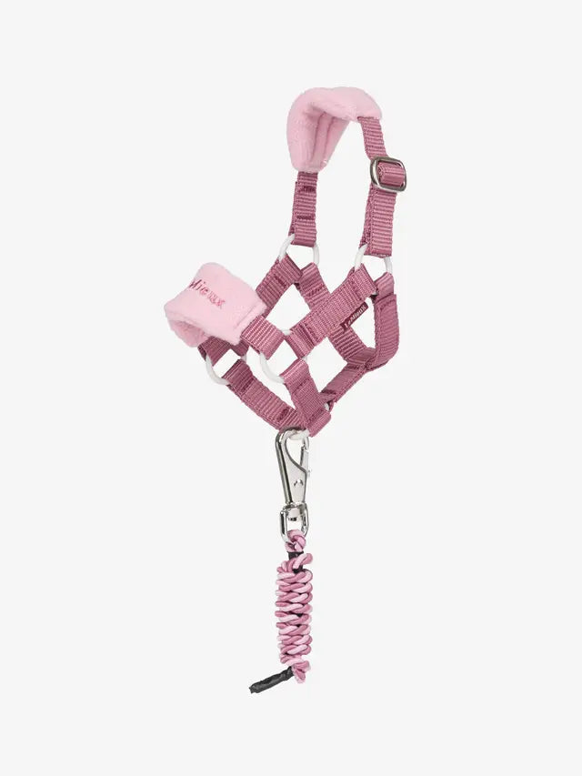 Lemieux Toy Pony Vogue Headcollar
