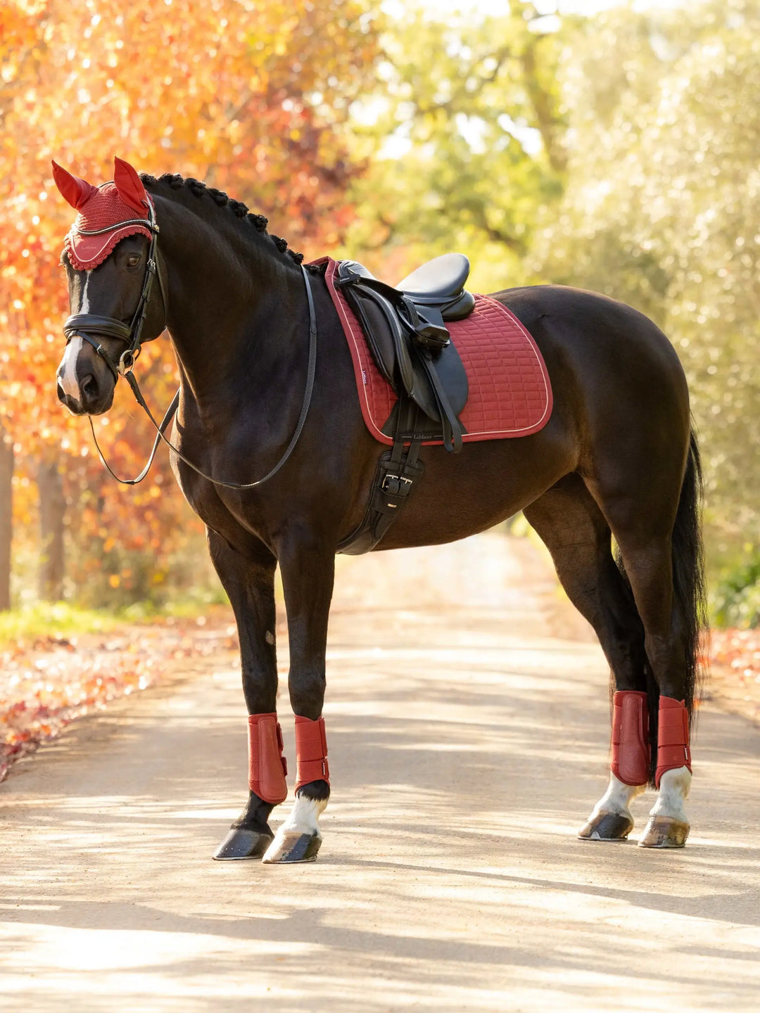 LeMieux Suede Dressage Square Pad