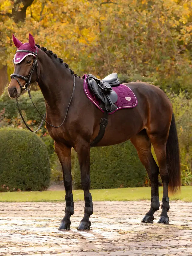 LeMieux Loire Classic Close Contact Square