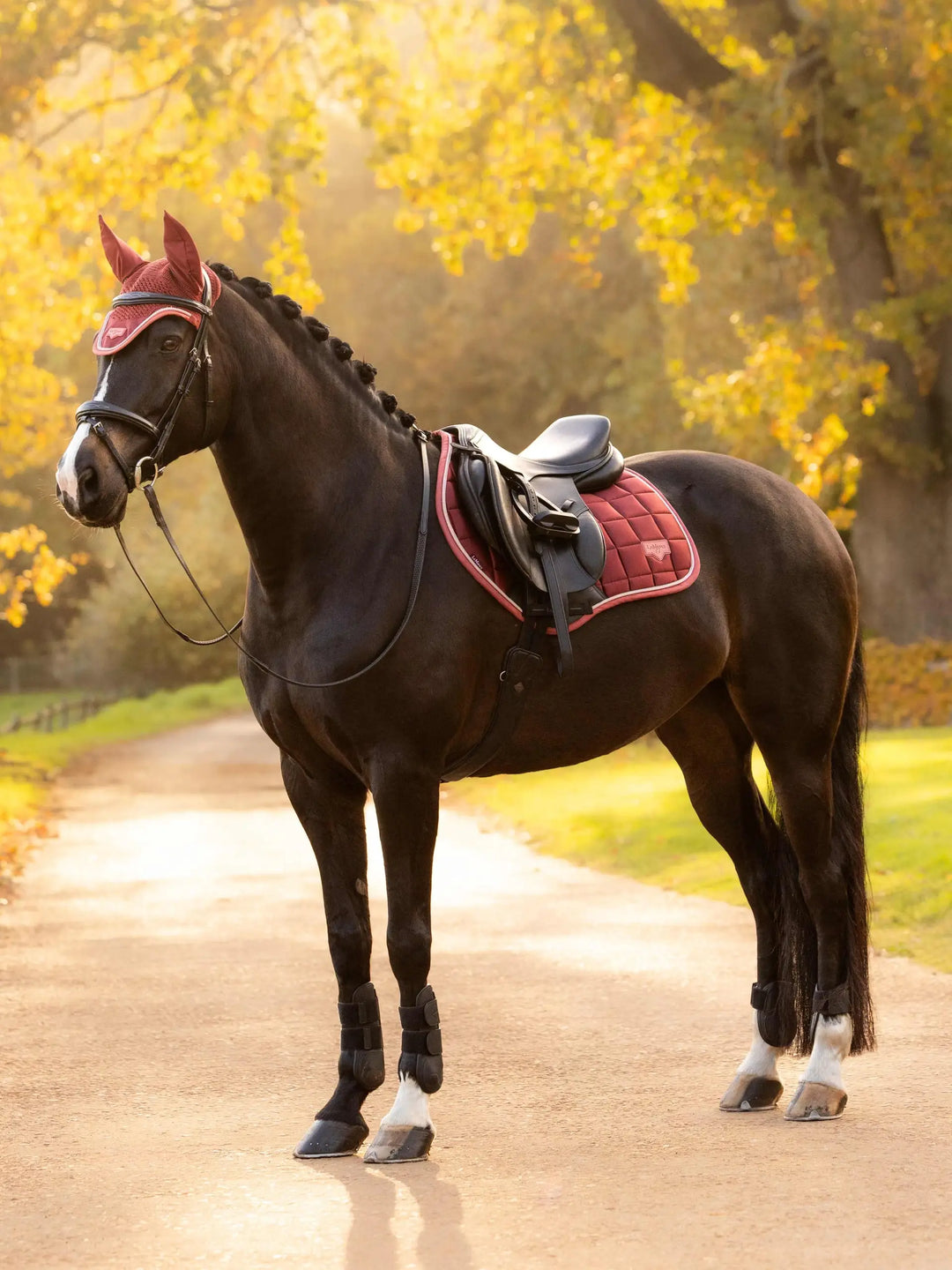LeMieux Loire Classic Close Contact Square
