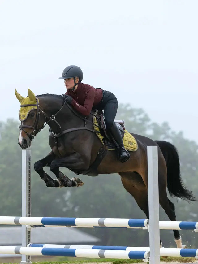 LeMieux Loire Classic Close Contact Square