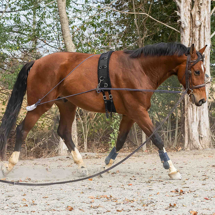 Equinavia Horze Lunging Aid Navy/Red
