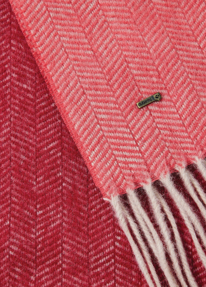 Dubarry Kingsley Ladies Wool Scarf