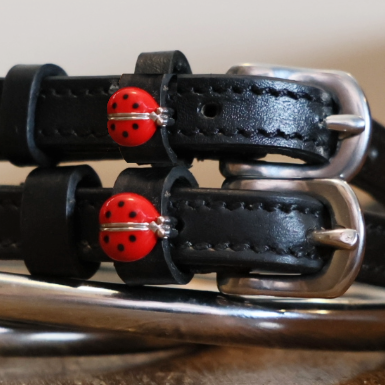 Dreamers & Schemers - Red Lady Bug Spur Strap