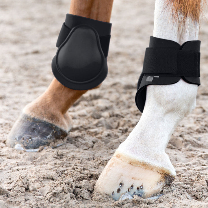 Equinavia Horze Chicago Fetlock Hind Horse Boots