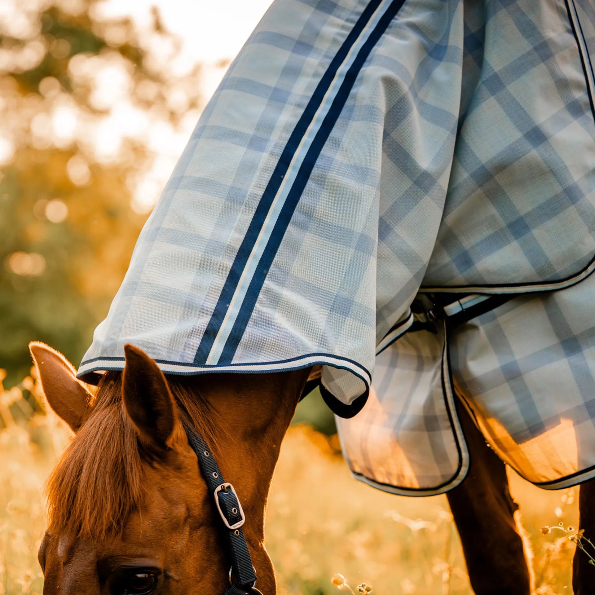 Horseware Newmarket Plus Fly Sheet