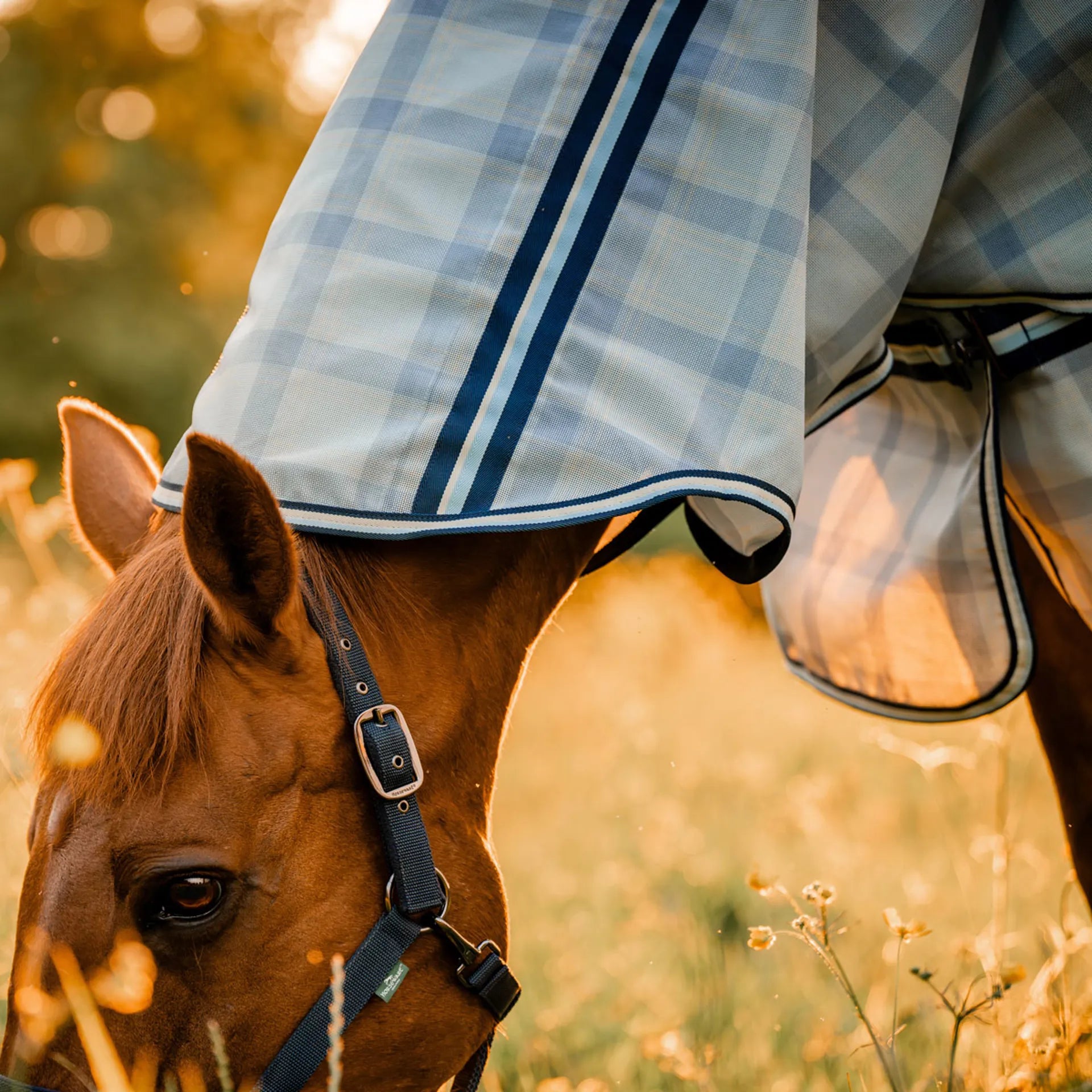 Horseware Newmarket Plus Fly Sheet