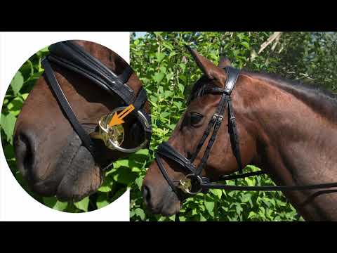 Stubben Golden Wings Lozenge Link Loose Ring Snaffle Bit