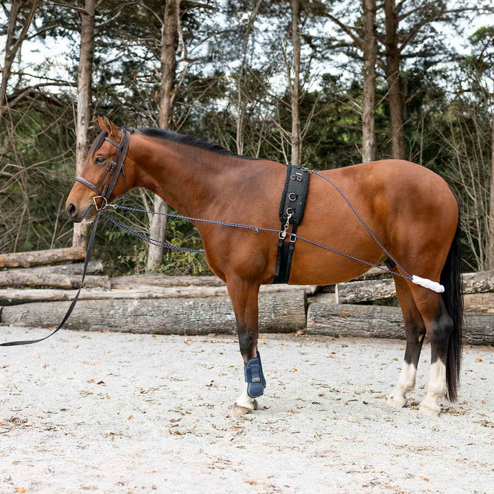 Equinavia Horze Lunging Aid Navy/Red