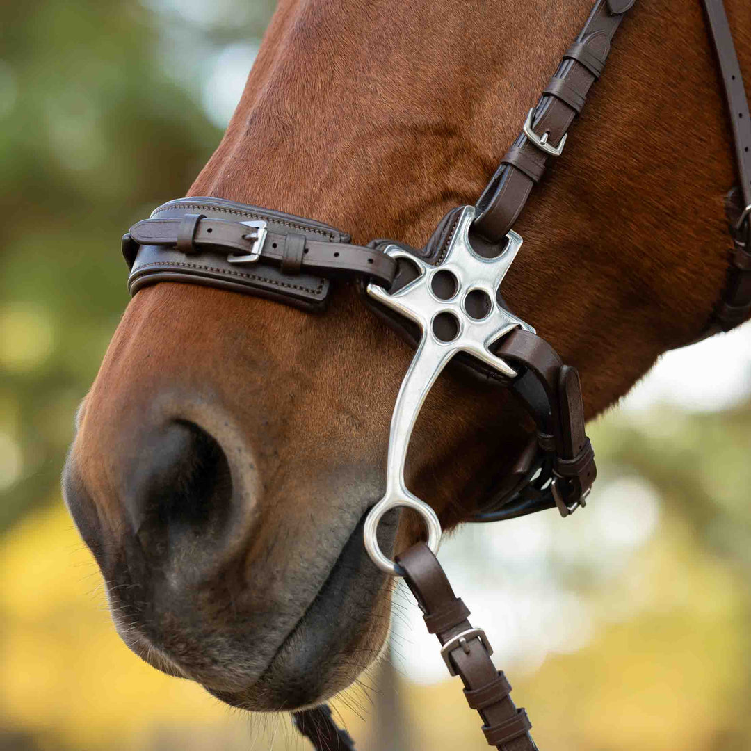 Equinavia Saga Hackamore Bridle with Rubber Reins