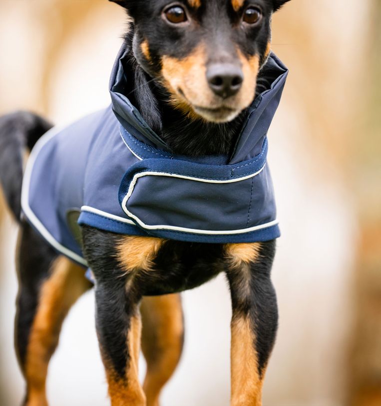 Horseware Signature Dog Rain Coat(no fill)