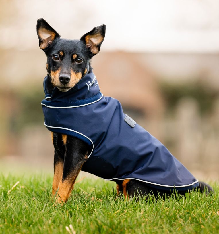 Horseware Signature Dog Rain Coat(no fill)