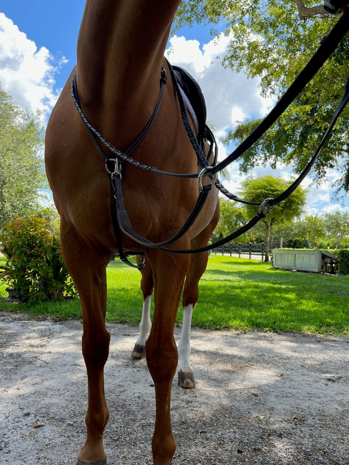 DziaSport Running Martingale Attachment