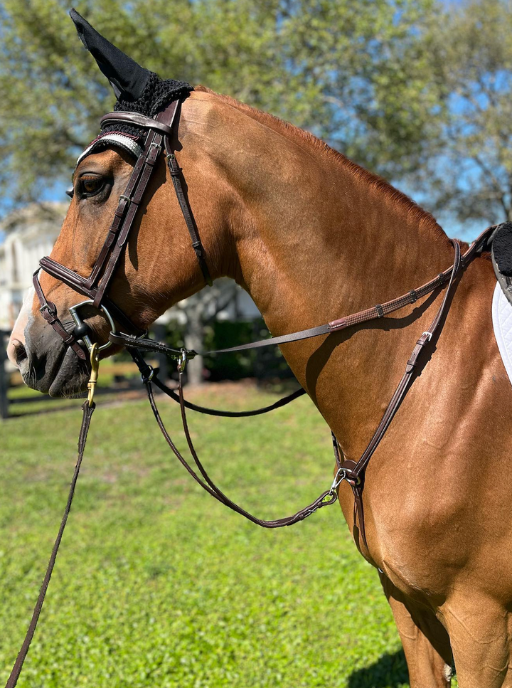 DziaSport Running Martingale Attachment