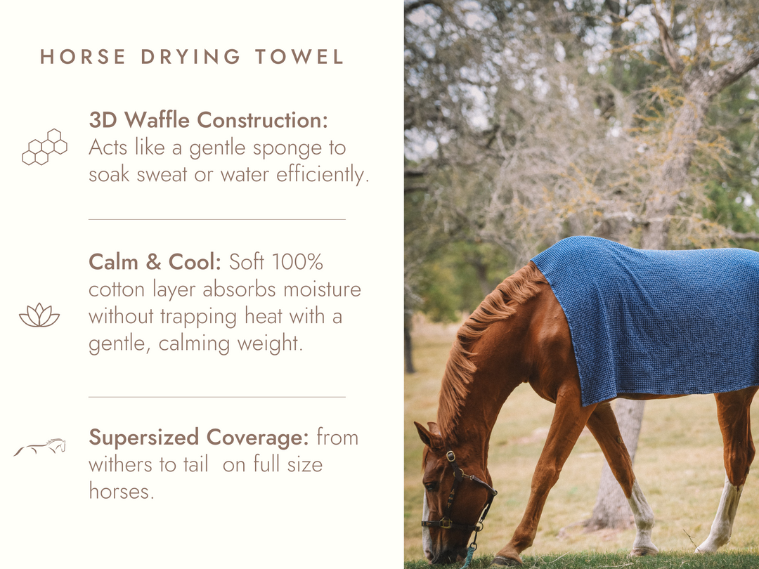 Cotton Waffle Horse Drying Towel, Sand