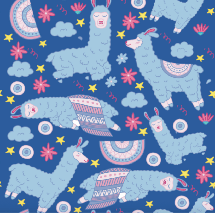 Dreamers & Schemers Sleepy Llama Pair & A Spare Socks