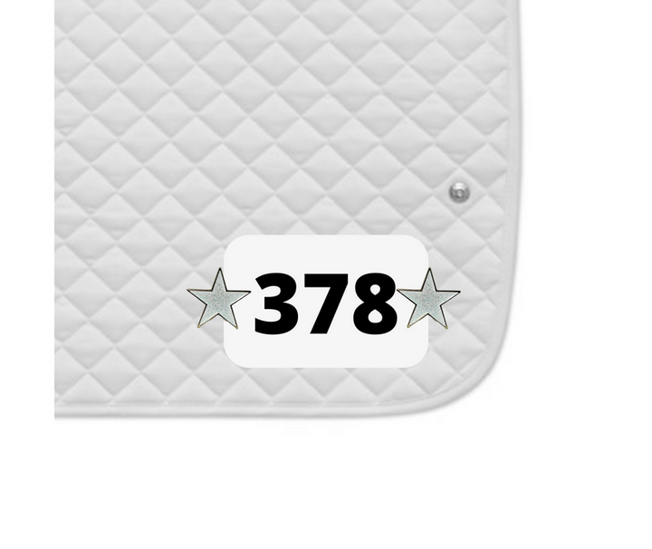 DuBois Cheval Shining Star Number Pin Charms