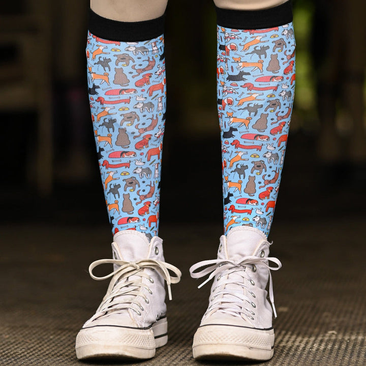 Dreamers and Schemers Stay Pawsitive Pair & Spare Socks (Copy)