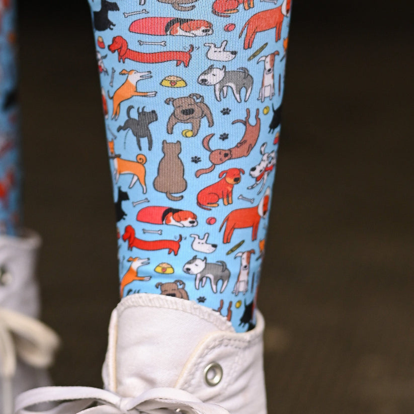 Dreamers and Schemers Stay Pawsitive Pair & Spare Socks (Copy)