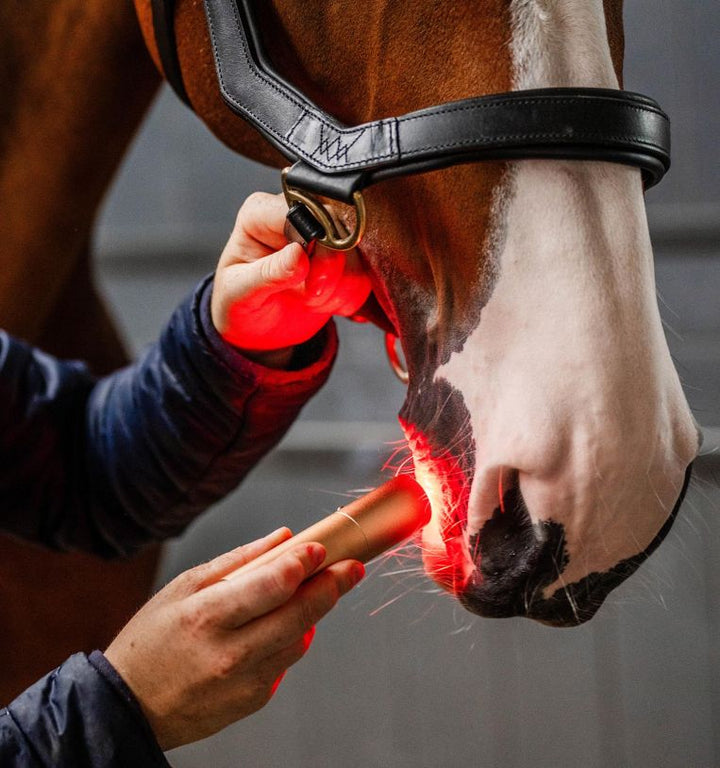 Horseware LED Red Light Therapy Wand