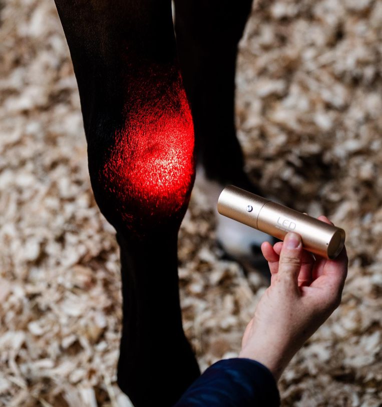 Horseware LED Red Light Therapy Wand