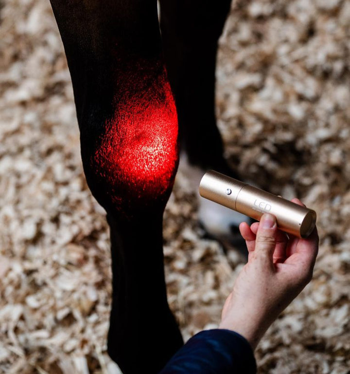 Horseware LED Red Light Therapy Wand