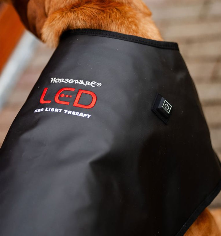 Horseware LED Red Light Therapy Pet Coat