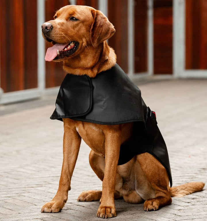 Horseware LED Red Light Therapy Pet Coat