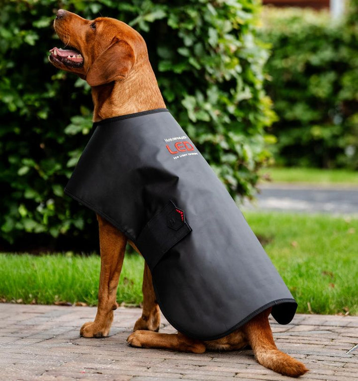 Horseware LED Red Light Therapy Pet Coat
