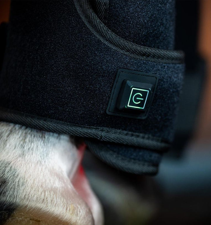 Horseware LED Red Light Therapy Leg Wrap