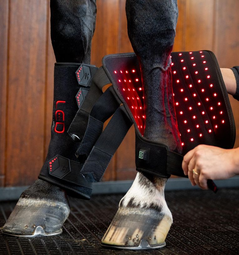 Horseware LED Red Light Therapy Leg Wrap