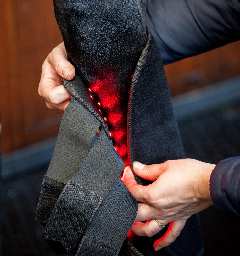 Horseware LED Red Light Therapy Leg Wrap