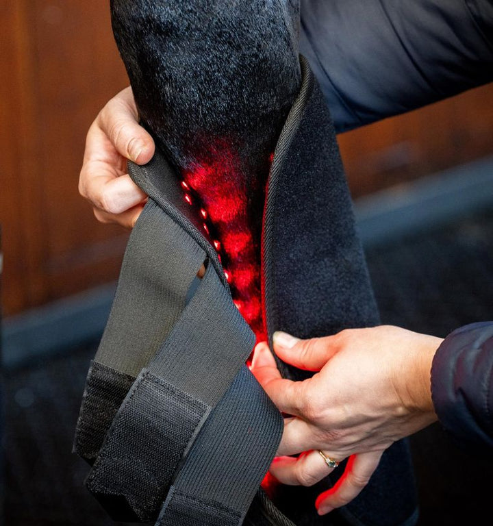 Horseware LED Red Light Therapy Leg Wrap