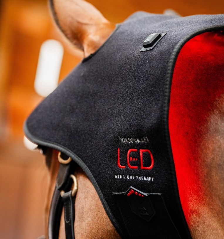 Horseware LED Red Light Therapy Poll Cap