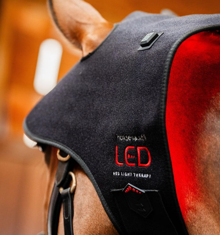 Horseware LED Red Light Therapy Poll Cap