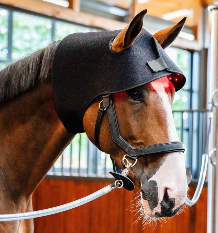 Horseware LED Red Light Therapy Poll Cap