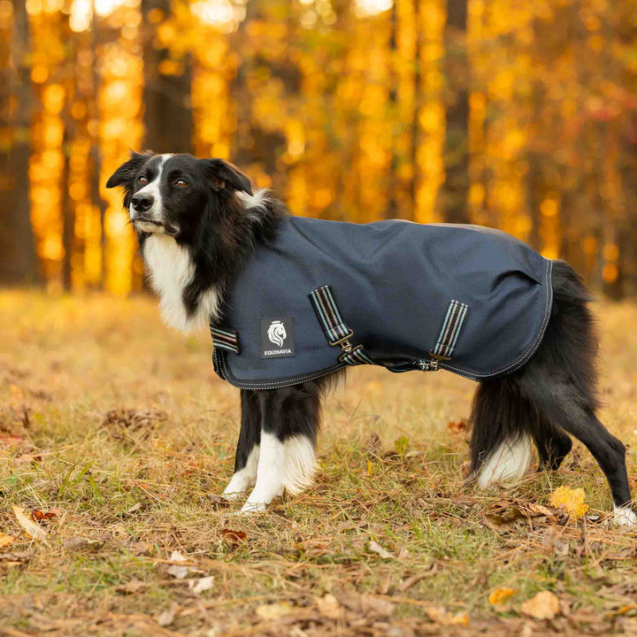 Equinavia Arktis Dog Turnout Sheet
