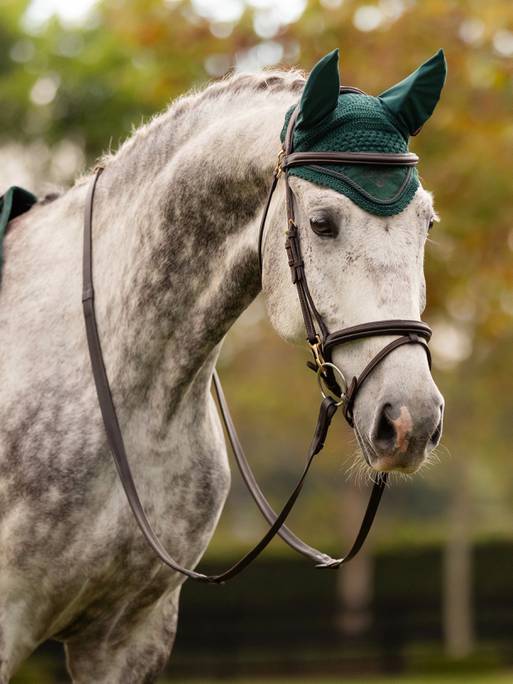 Lemieux Classic Fly Hood