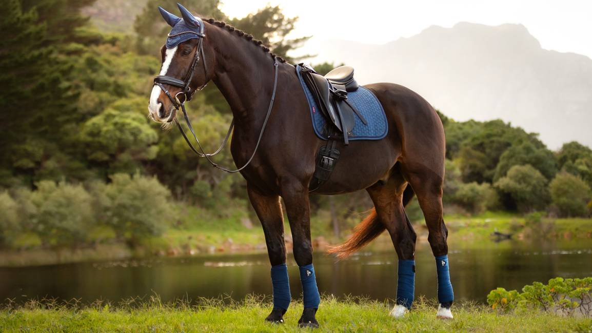 LeMieux Suede Dressage Square Pad