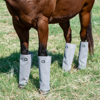 Cashel Fly Boots