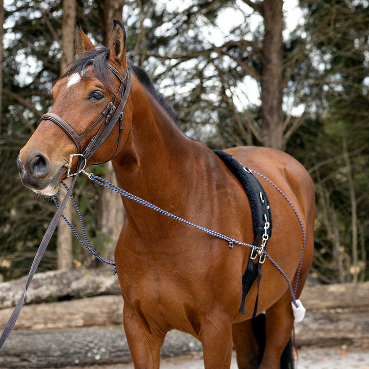 Equinavia Horze Lunging Aid Navy/Red