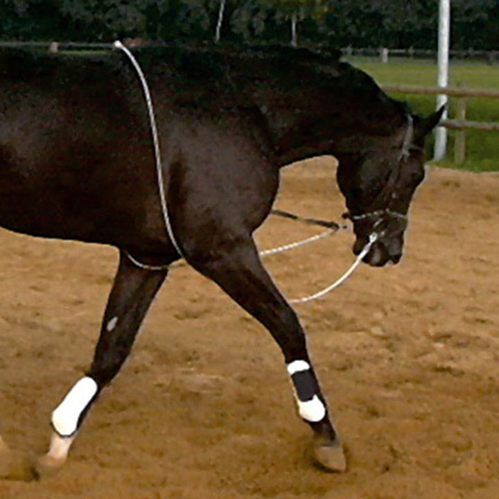 Kavalkade HO-lungeing aid