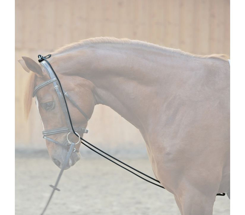 Kavalkade Neck Stretcher